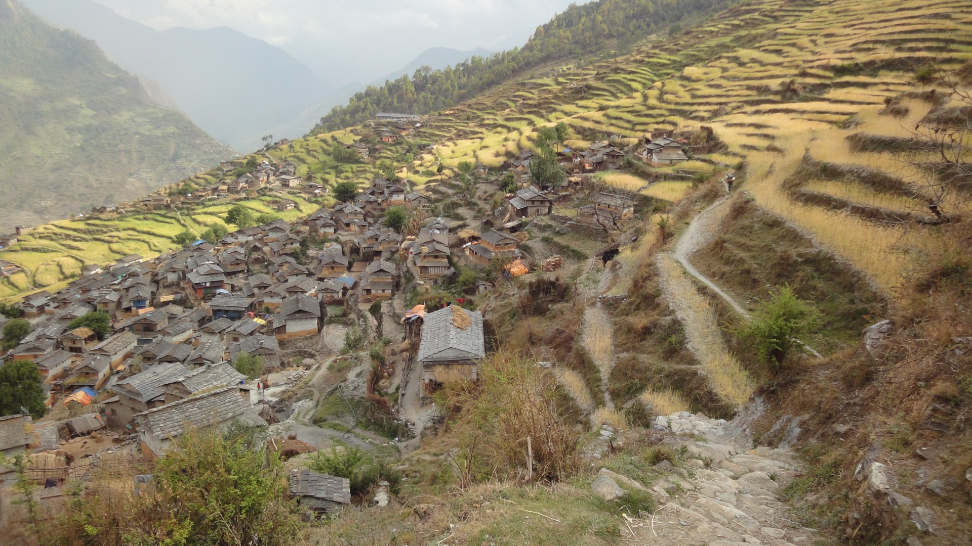 MWR Exklusiv - Dhaulagiri Umrundung mit Dhampus Peak (6.012 m)